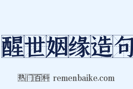 醒世姻缘造句是什么意思的图片